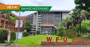 hệ 1+4 đại học ngô phụng 2026